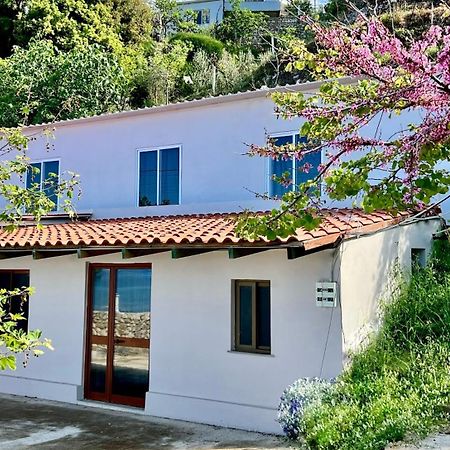 Villa Kate Borsh Exterior photo